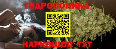 дмт Кинель