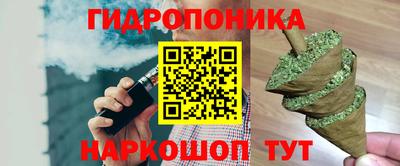 дмт Кинель